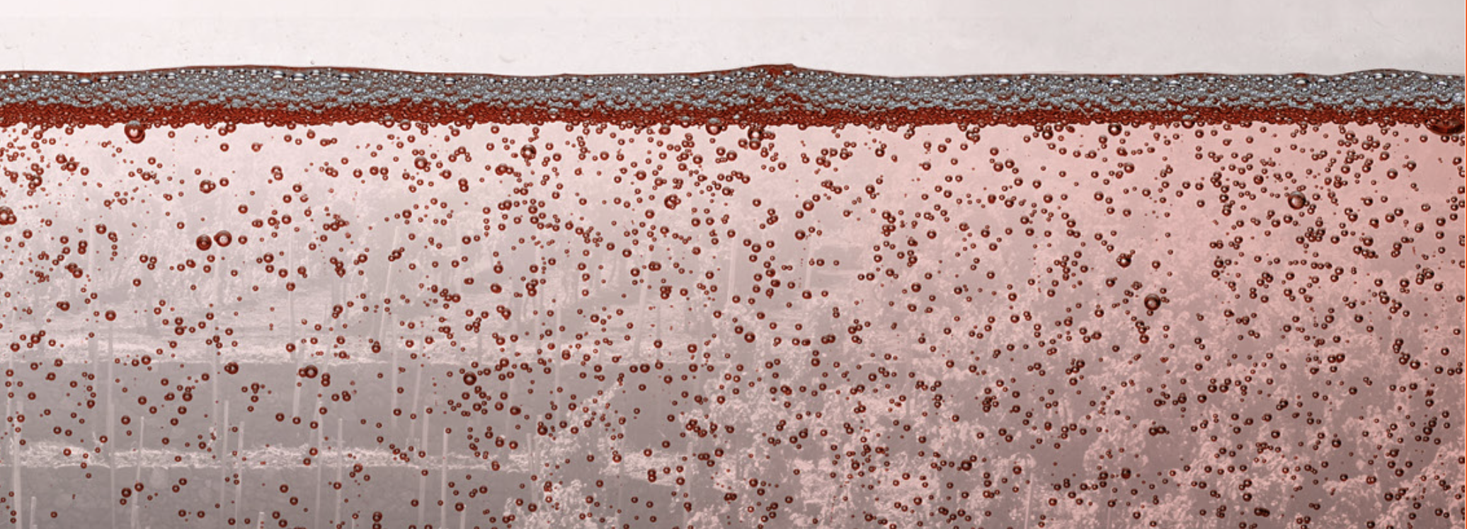 Screenshot 2025-02-25 alle 11.20.17